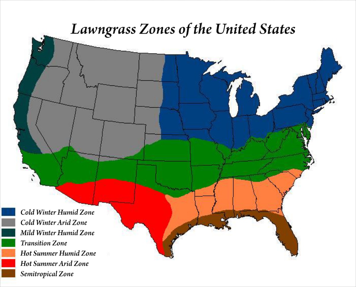 Guia Global de Gramados: Os Melhores Tipos para o Seu Clima