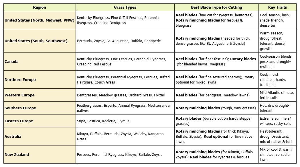 Guia Global de Gramados: Os Melhores Tipos para o Seu Clima